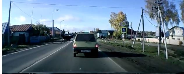 ΒΙΝΤΕΟ-Αγελάδα τηρεί…τον Κ.Ο.Κ