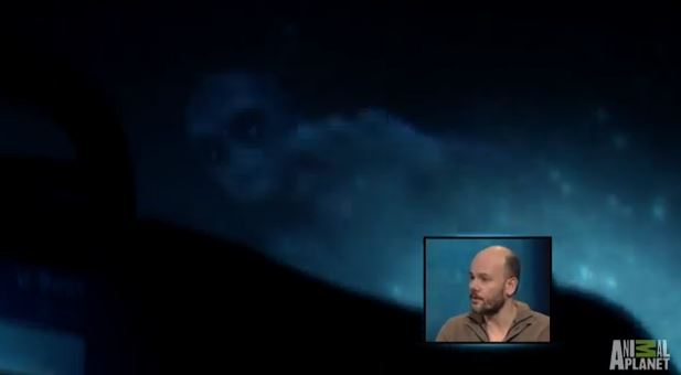 ΒΙΝΤΕΟ-Οι γοργόνες υπάρχουν!