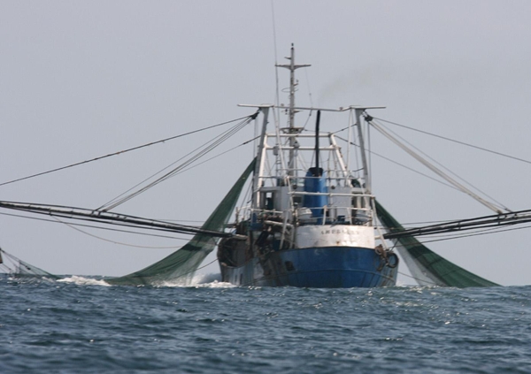 Μέτρα κατά της παράνομης αλιείας