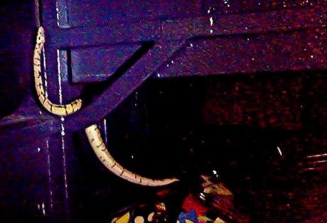 ΒΙΝΤΕΟ-Πύθωνας σκόρπισε τον τρόμο στα ΚΤΕΛ