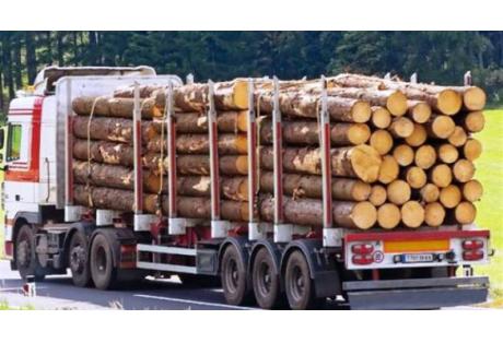 Κατασχέθηκαν 10 τόνοι λαθραίας ξυλείας