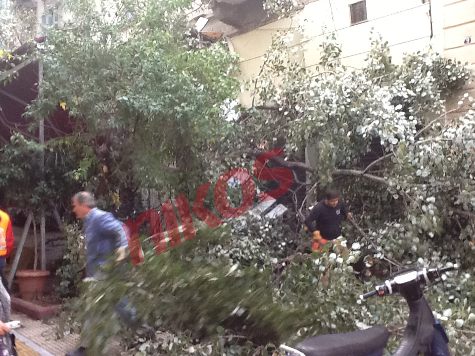 ΦΩΤΟ-Έπεσε δέντρο