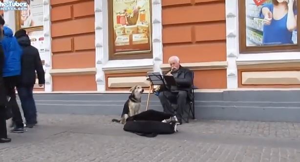 ΒΙΝΤΕΟ-Τους “ένωσε” η μουσική