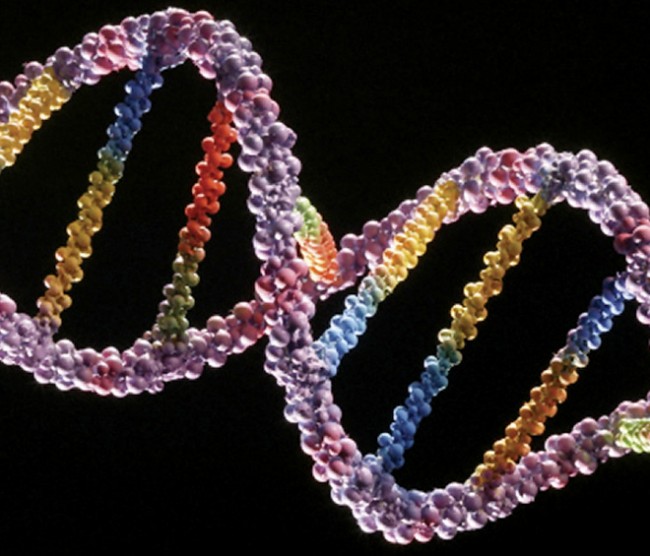 Τεστ DNA για τις ασθένειες