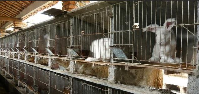 BINTEO- Δείτε γιατί σταμάτησε τα ανκορά η H&M