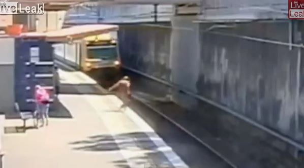 ΒΙΝΤΕΟ-Το τρένο σταμάτησε δίπλα του