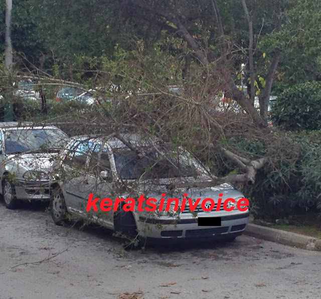 ΦΩΤΟ-Δέντρο καταπλάκωσε ΙΧ