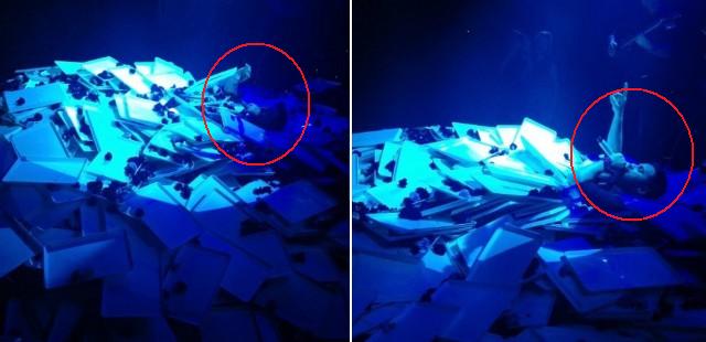 BINTEO-Tα λουλούδια “εξαφάνισαν” τον Γιαννιά