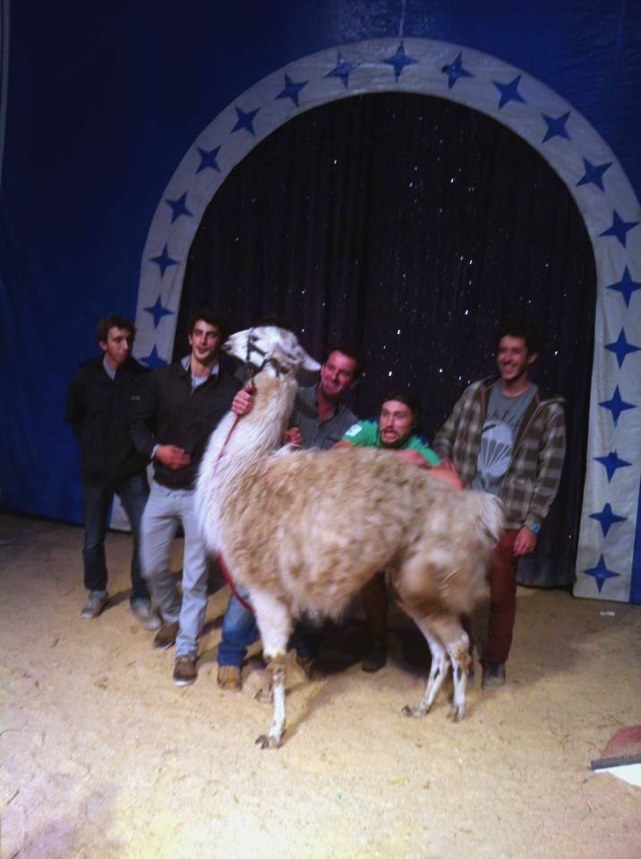 ΒΙΝΤΕΟ-Αυτοί είναι οι πρωταγωνιστές του αληθινού “hangover”