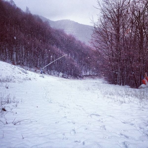 ΦΩΤΟ-Έπεσαν τα πρώτα χιόνια στη Μακεδονία