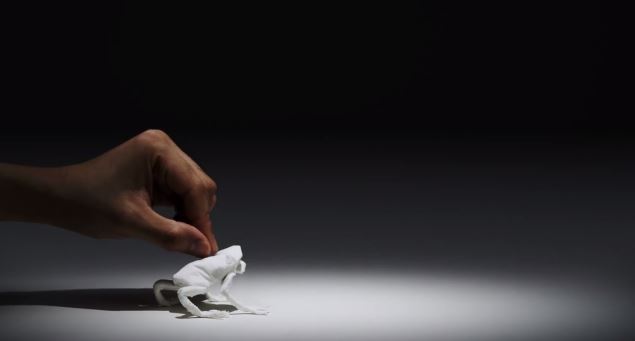 ΒΙΝΤΕΟ-Ζώα από… μαντιλάκια