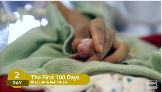 ΒΙΝΤΕΟ-Οι 100 ημέρες των πάντα