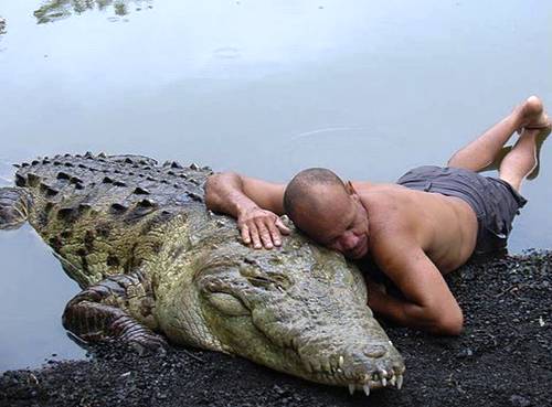 ΦΩΤΟ-Δυνατές φιλίες ανθρώπων με άγρια ζώα