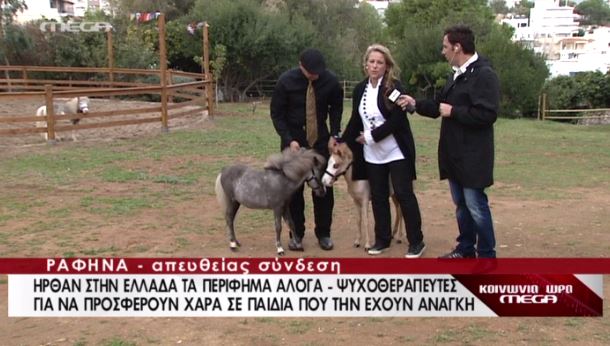 ΒΙΝΤΕΟ-Αλογάκια ψυχοθεραπευτές
