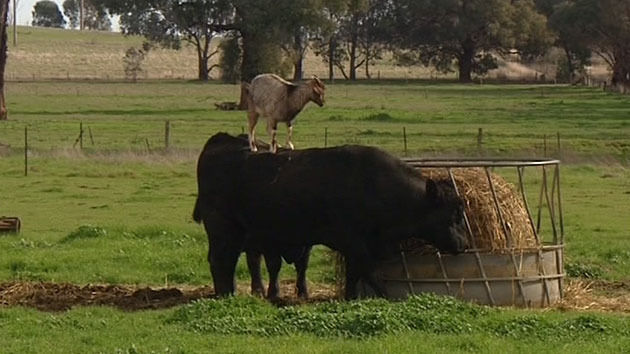 Μια φιλία διαφορετική απ’ τις άλλες