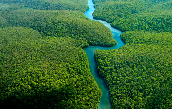 Αυξάνεται η εκδάσωση του Αμαζονίου