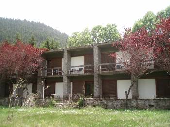 Έτσι μαράζωσαν τα “στολίδια”