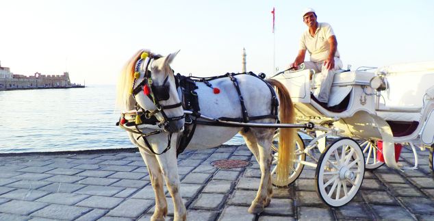 Τρίτη γενιά αμαξάδων στα Χανιά