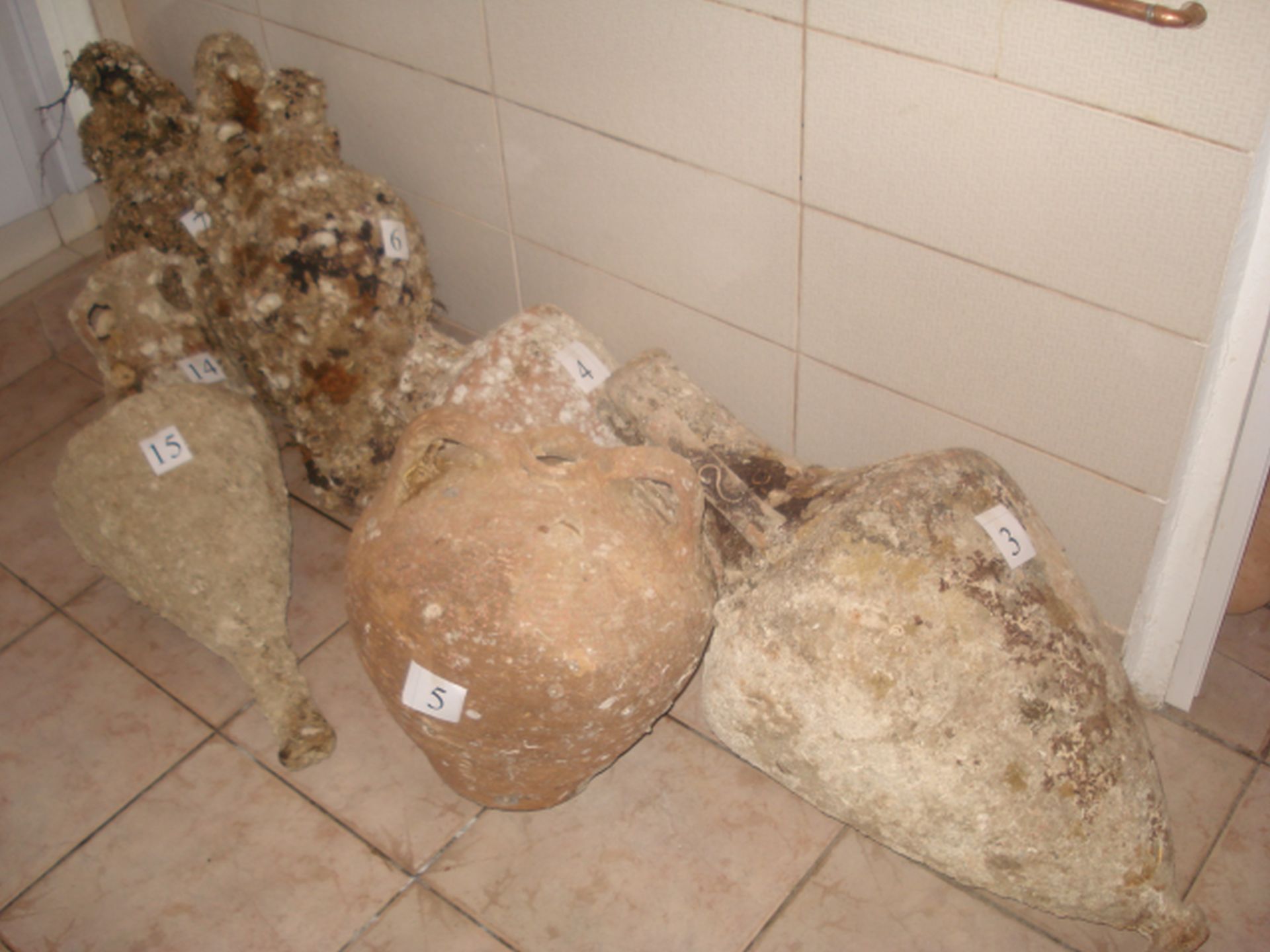 Αλίευσαν αμφορείς στη Λήμνο