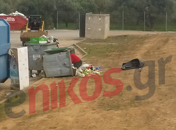 ΦΩΤΟ-Μπήκε στον κάδο για να βρει φαγητό