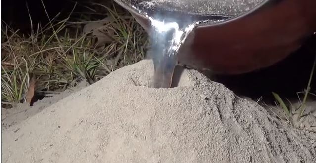 ΒΙΝΤΕΟ-Τι γίνεται όταν ρίξεις λιωμένο αλουμίνιο σε μυρμηγκοφωλιά