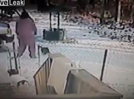 ΒΙΝΤΕΟ-Αυτή η γάτα δεν…αστειεύεται