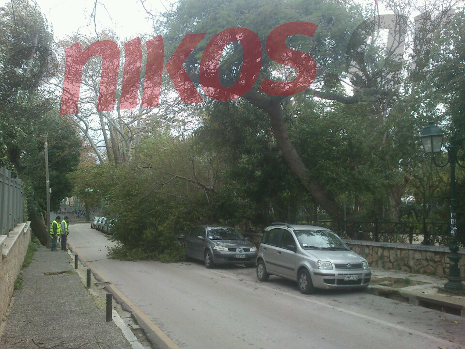 ΤΩΡΑ-ΦΩΤΟ-Έπεσε δέντρο στην Κηφισιά
