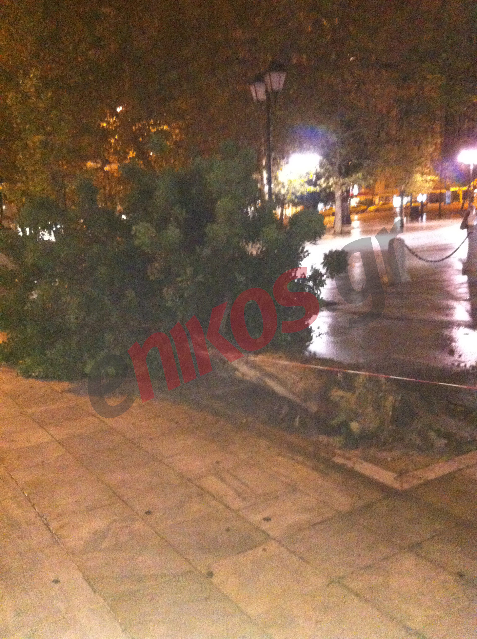 ΦΩΤΟ-Πεσμένο δέντρο στο Σύνταγμα