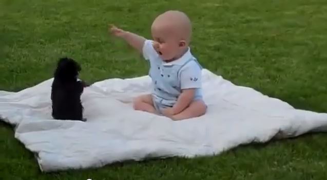 ΒΙΝΤΕΟ- Τι γίνεται όταν ένα μωρό συναντά ένα κουτάβι;