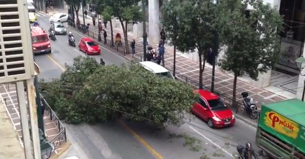 Έπεσαν 104 δέντρα στην Αθήνα