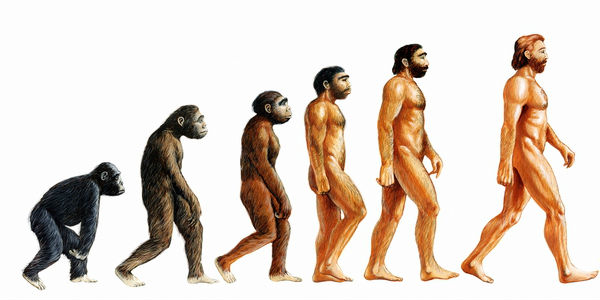 Δεν πιστεύουν στη θεωρία της εξέλιξης