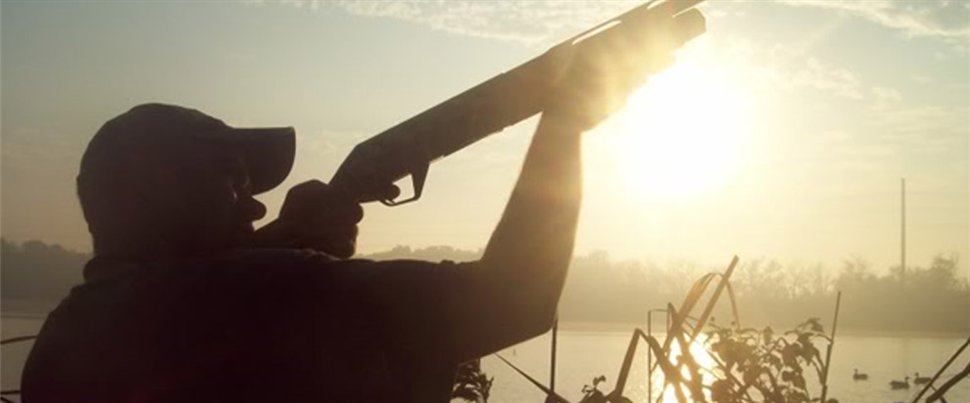 Αγριογούρουνο τραυμάτισε κυνηγό