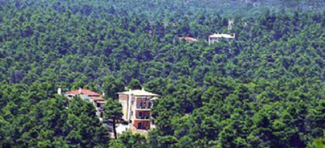 Η βουλευτική…Πολιτεία προσέφυγε στο ΣτΕ