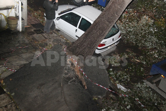 ΦΩΤΟ-Έπεσε δέντρο στην Αγία Παρασκευή