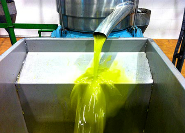 ‘Εκλεψαν ελαιόλαδο