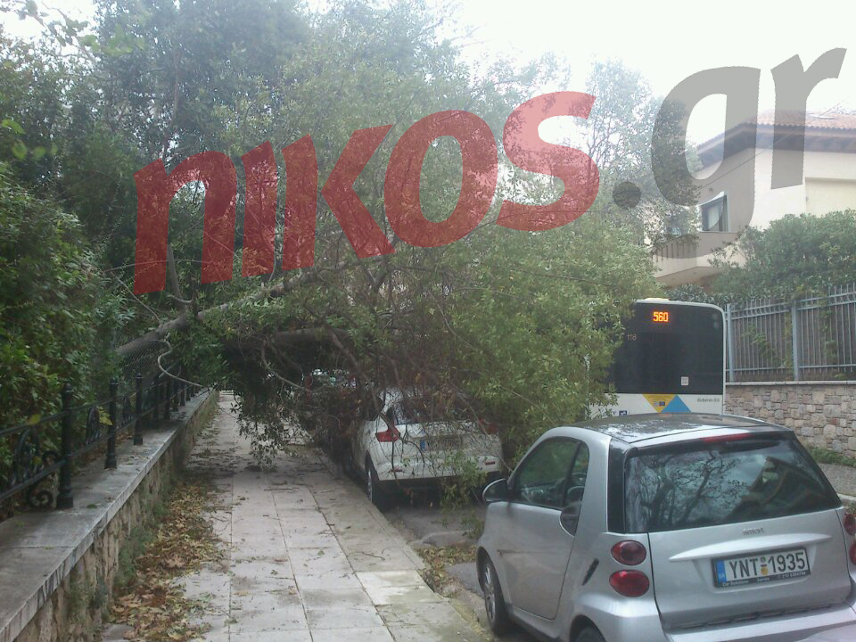 ΤΩΡΑ-ΦΩΤΟ-Έπεσε δέντρο στην Κηφισιά