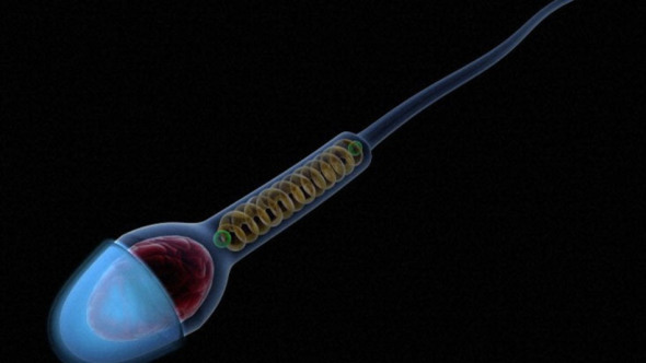 Αντισυλληπτικό χάπι για άντρες;