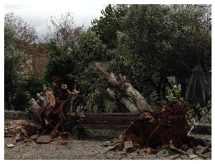 ΦΩΤΟ-Η κακοκαιρία “χτύπησε” την Κηφισιά