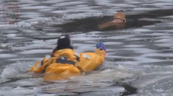 ΒΙΝΤΕΟ-Βούτηξαν στον πάγο για να σώσουν τον σκύλο