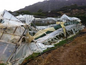 Ζημιές σε θερμοκήπια