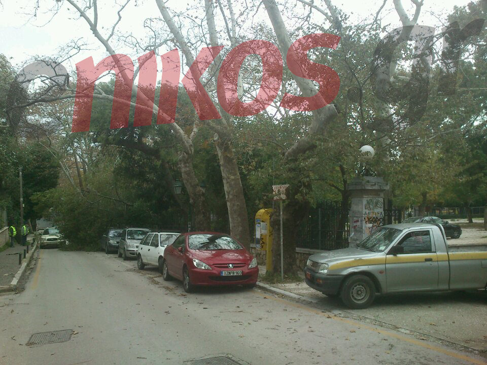 ΤΩΡΑ-ΦΩΤΟ-Έπεσε δέντρο στο πάρκο Κηφισιάς