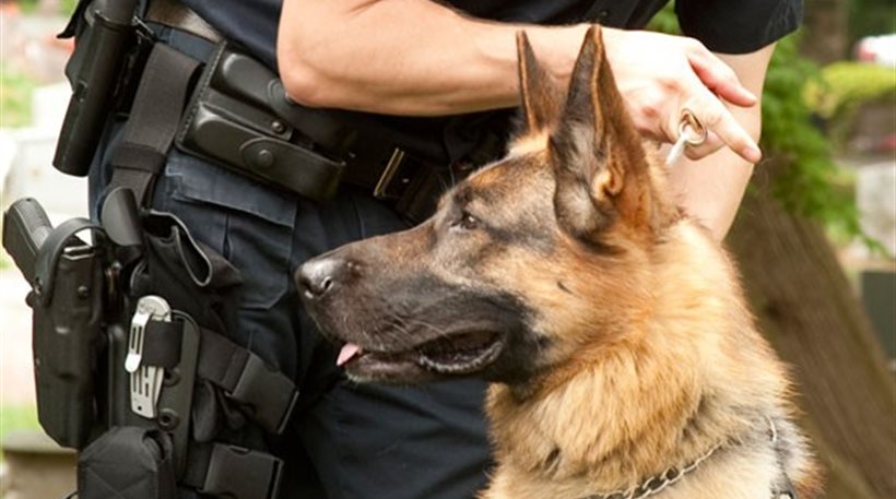 Ο Ντιέγκο “συνέλαβε” έμπορο ναρκωτικών