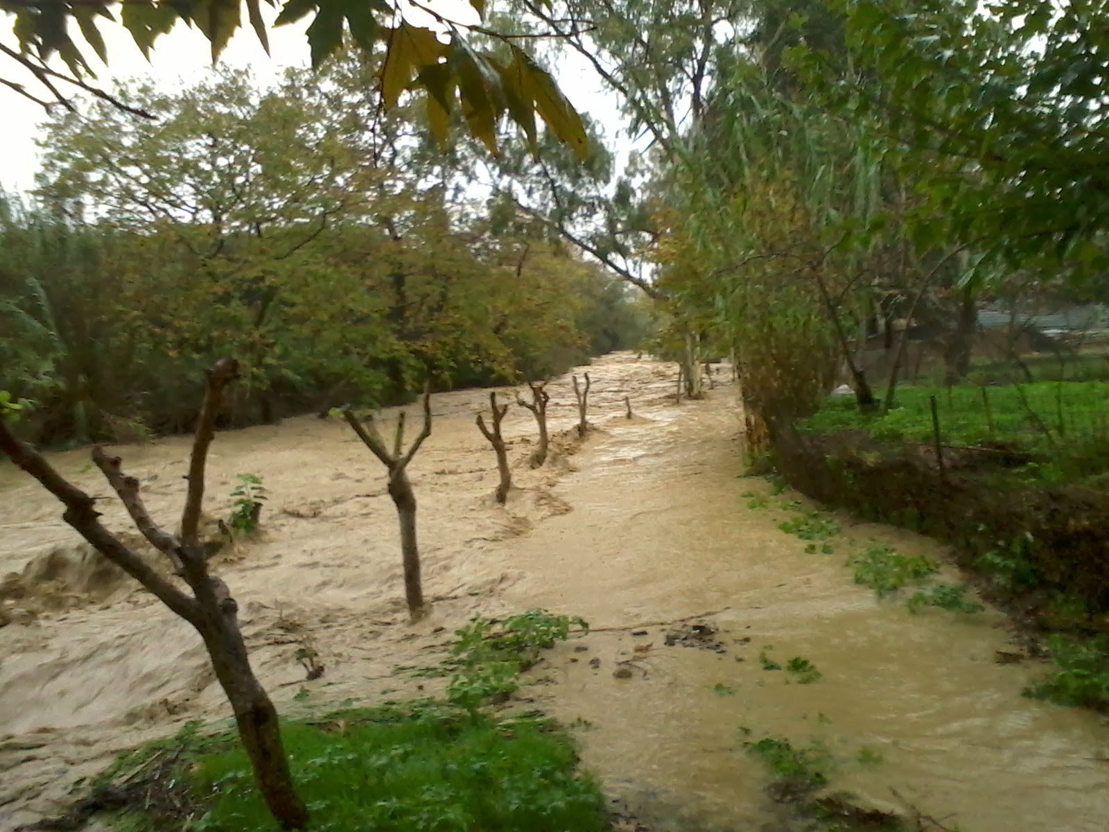 Καταγράφουν τις ζημιές στην Κίσσαμο