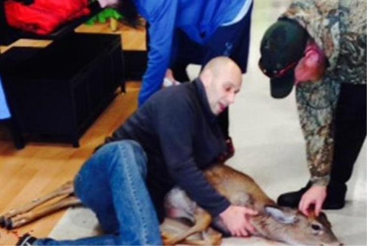 Ελάφι πήγε… για ψώνια