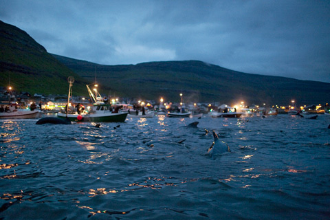 Η θάλασσα «βάφτηκε» κόκκινη