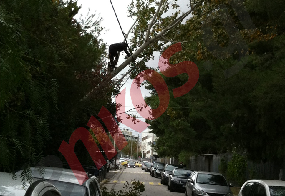 ΦΩΤΟ-Μαρούσι:Δέντρο στα καλώδια της ΔΕΗ