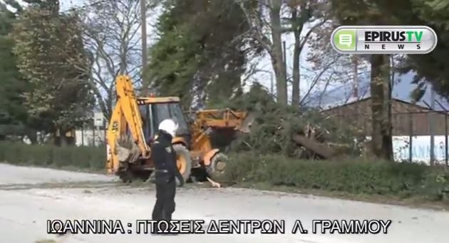 ΒΙΝΤΕΟ-Ξερίζωσαν δέντρα οι ισχυροί άνεμοι στα Ιωάννινα