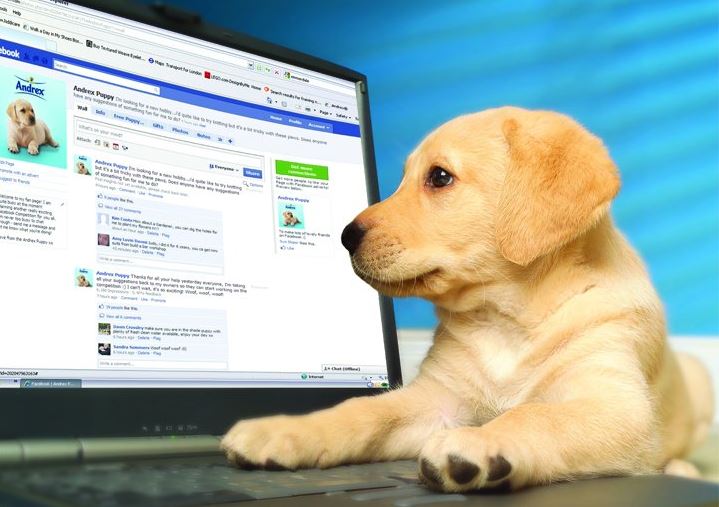 Ένα Facebook για… σκυλιά