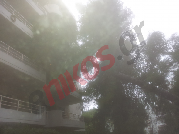 600 κλήσεις στην Πυροσβεστική