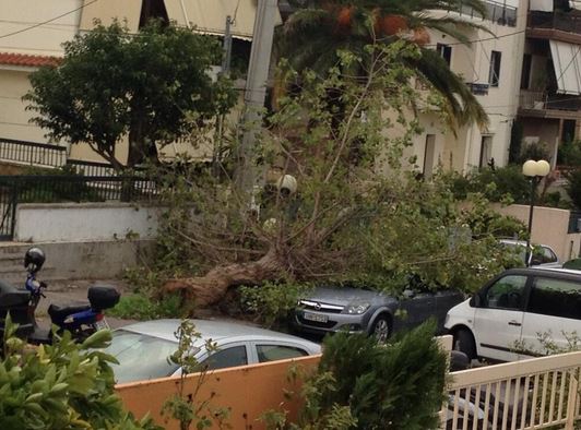 ΦΩΤΟ-Δέντρο έπεσε δίπλα στο σπίτι της Πρεζεράκου